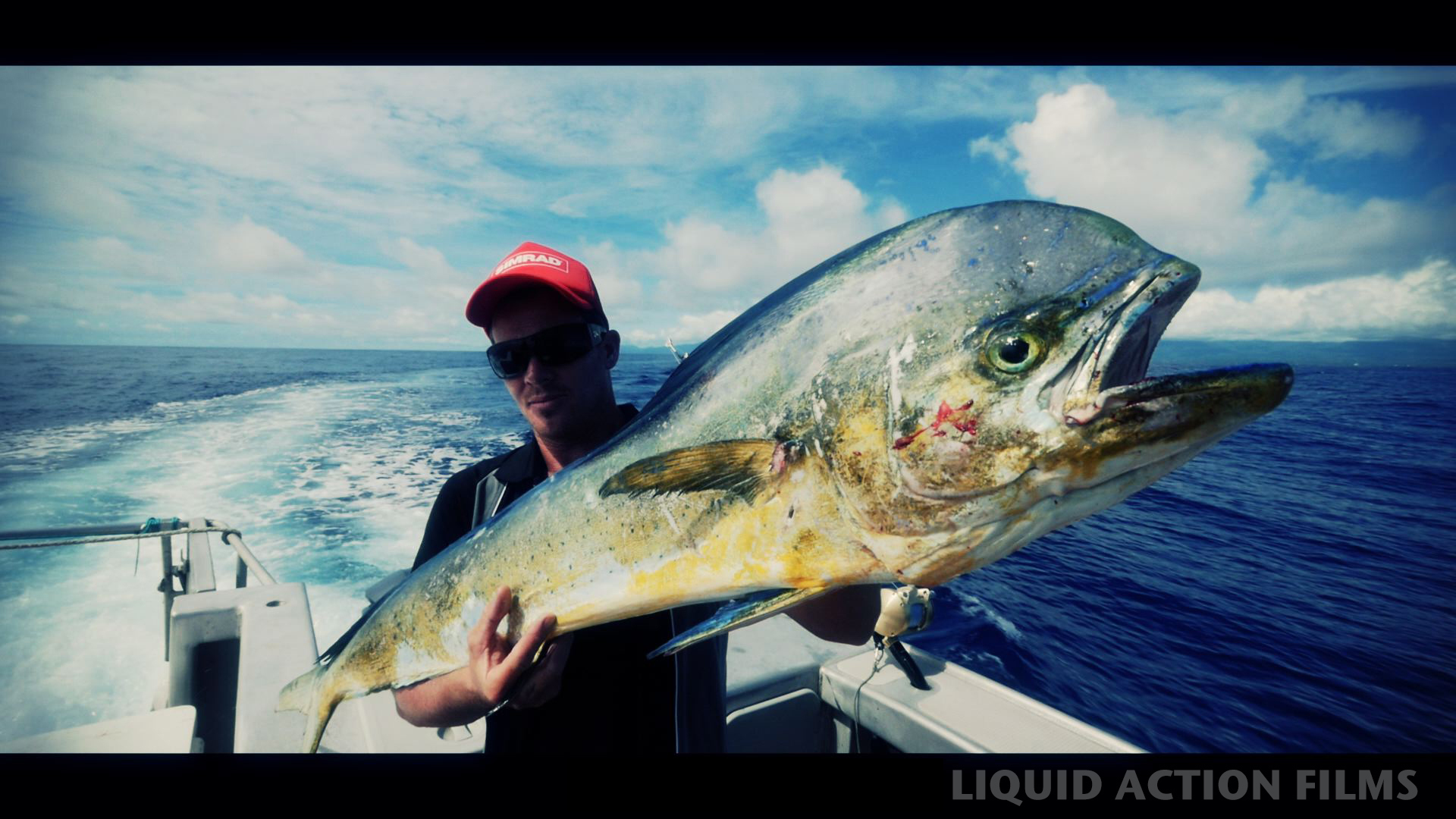 Mahi Mahi © Dave Abbott