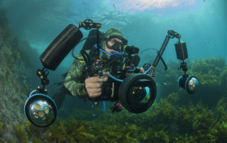 Underwater cameraman Dave Abbott filming off the Poor Knights Islands in New Zealand