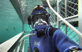 Dave Abbott in shark cage using surface supply and underwater comms while filming great whites